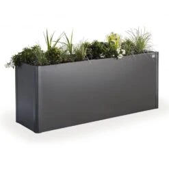 Biohort Pflanzbeet "Belvedere", Verzinktes Stahlblech, Zeitloses Design, Einlegeboden -Die grüne Ecke 3230600061 Pflanzbeet Belvedere M dunkelgraumetallic3 65053