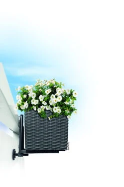 Lechuza Balkonkastenhalter Für Balconera Cottage, Schwarz, 2er-Set 5 Lechuza Balkonkastenhalter Für Balconera Cottage, Schwarz, 2er-Set -Die grüne Ecke 3240100090 Balkonkastenhalter schwarz fuer Balconera 4 5x19cm 1 25896