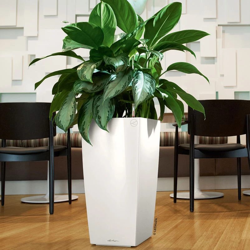 LECHUZA Cubico Premium 40, Weiß Hochglanz, All-in-One-Set, 40 X 40, H:75 Cm 3 LECHUZA Cubico Premium 40, Weiß Hochglanz, All-in-One-Set, 40 X 40, H:75 Cm