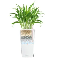 LECHUZA Cubico Premium 30, Weiß Hochglanz, All-in-One-Set , 30x30, H:56 Cm -Die grüne Ecke 3325100114 CubicoPremium22 weiss All in One Set 22x22x41cm RGB 7573 1