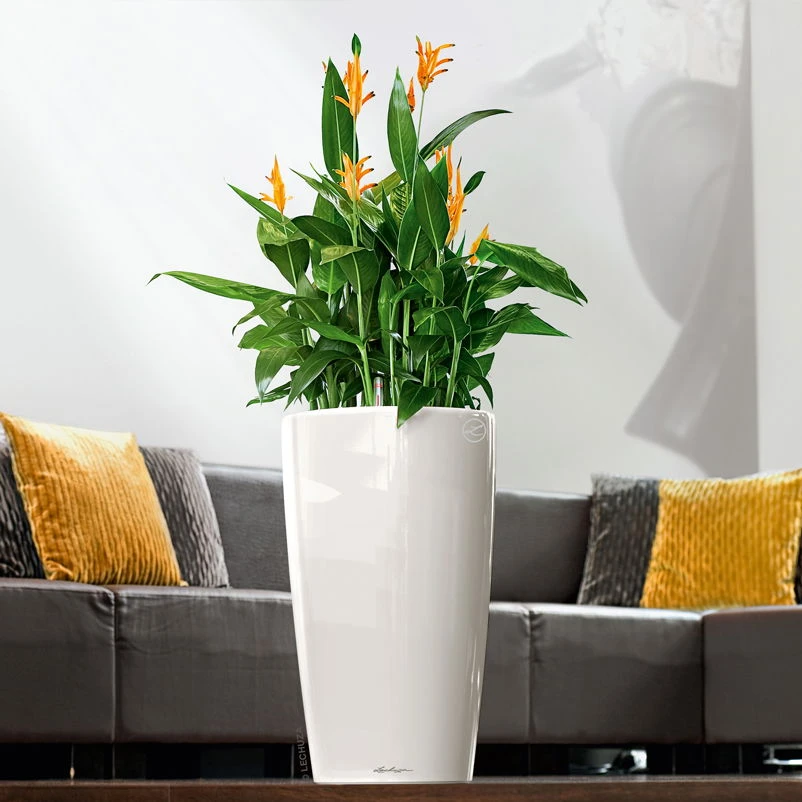 LECHUZA Rondo Premium, All-in-One-Set, Weiß Hochglanz, Ø 33 Cm, H:56 Cm