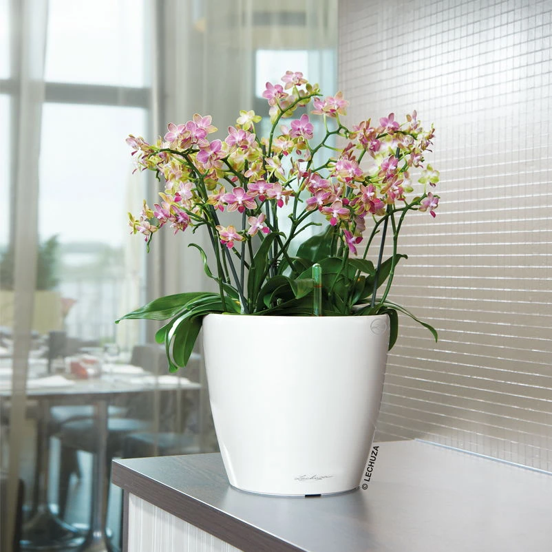 Die grüne Ecke -Die grüne Ecke 3325100222 Classico Premium 28LS wei All in One Set D28xH26cm RGB 7759 1