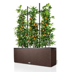 Lechuza Trio Cottage 30, Mokka, All-in-One-Set -Die grüne Ecke 3325200003 Trio Cottage30 mokka All in One Set 100x32x34cm RGB 2 7611