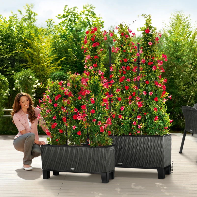 Lechuza Trio Cottage 30, Granit, All-in-One-Set – Bild 3