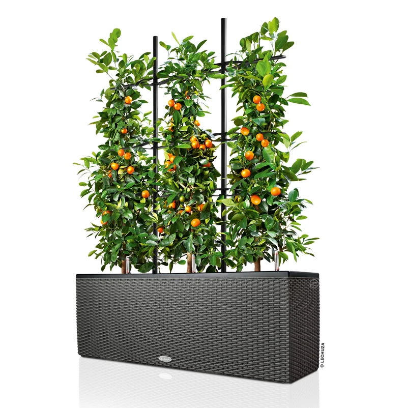 Lechuza Trio Cottage 30, Granit, All-in-One-Set – Bild 2