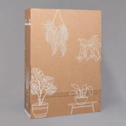 Aglaonema 'Stripes', Topf-Ø 12 Cm Mit Übertopf Dallas Weiß -Die grüne Ecke B2 02 Karton Sets mit Keramik 1 126161 6