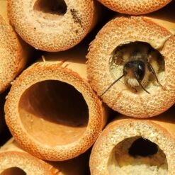 Insektenhotel, Natur, Höhe Ca. 51 X 14 X 38 Cm -Die grüne Ecke insektenhotel biene 117841 1