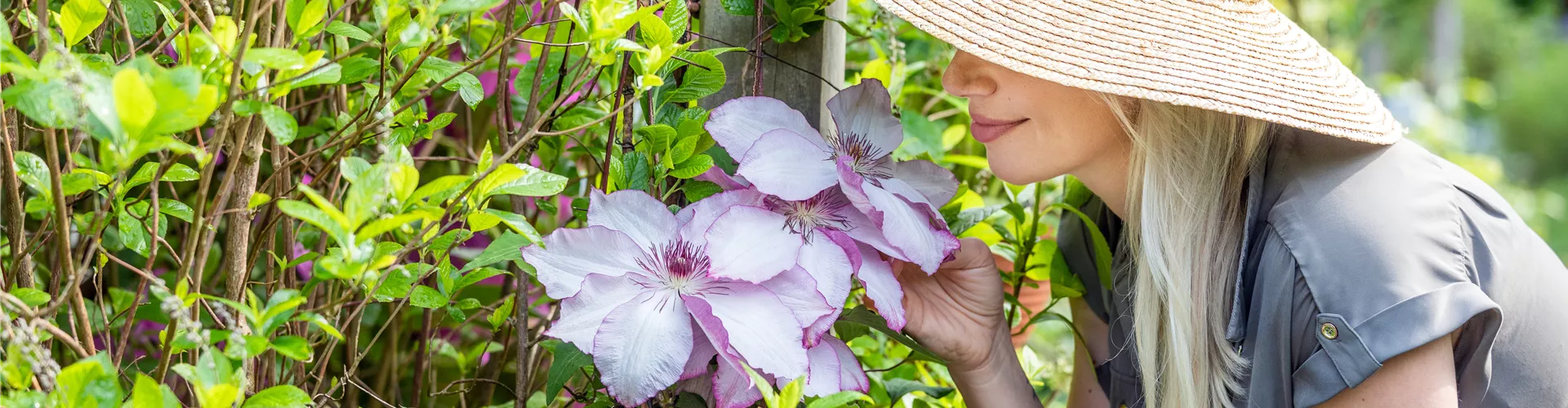 Die grüne Ecke -Die grüne Ecke GS744781 r2 1920x500 proportionalsmallest